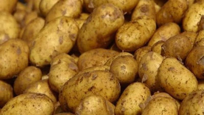 بسبب الحر والتصدير.. ارتفاع جديد فى أسعار «البطاطس»